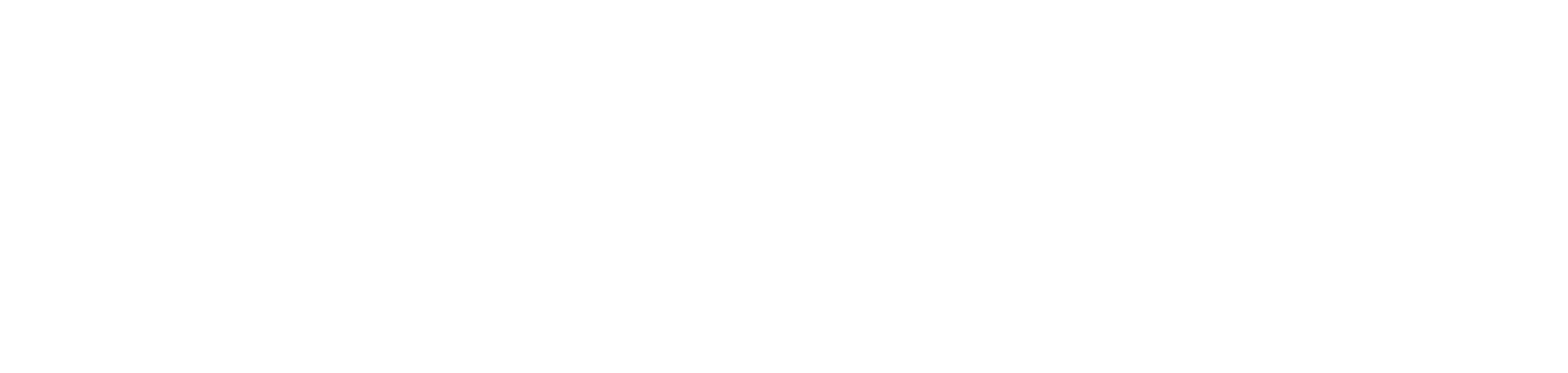 Evidence Synthesis Infrastructure Collaborative